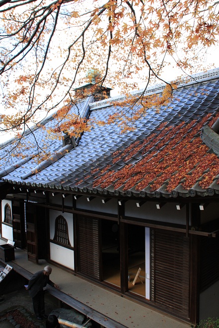 本堂の屋根.jpg