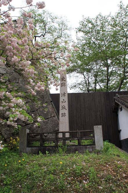 桜と津山城跡.jpg