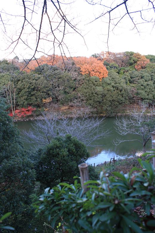 池と紅葉.jpg