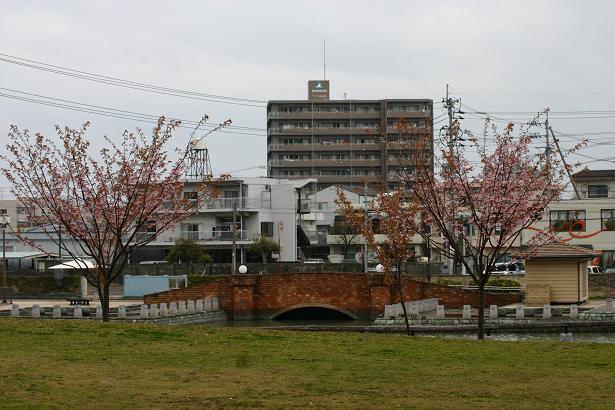 河野辺の桜.jpg